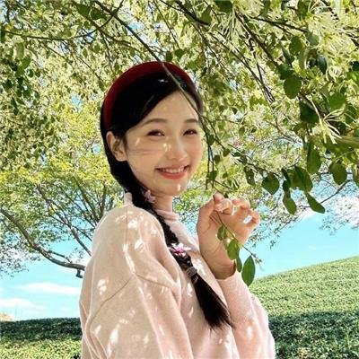 卡美娜万岁 封面
